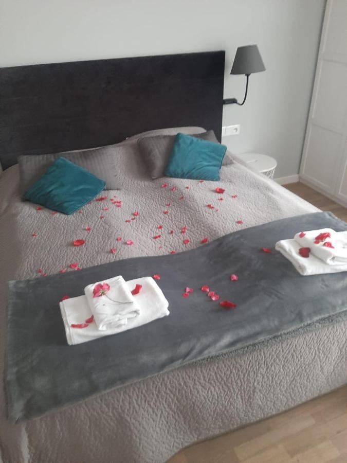 Apartamenty Koci Ogon Stary Toruń Exterior foto