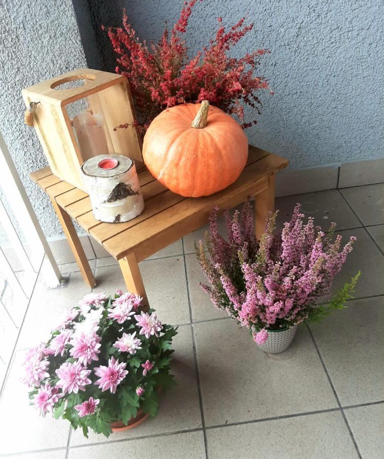 Apartamenty Koci Ogon Stary Toruń Exterior foto