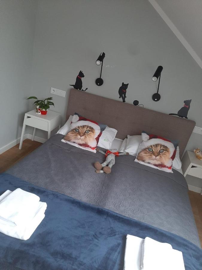 Apartamenty Koci Ogon Stary Toruń Exterior foto
