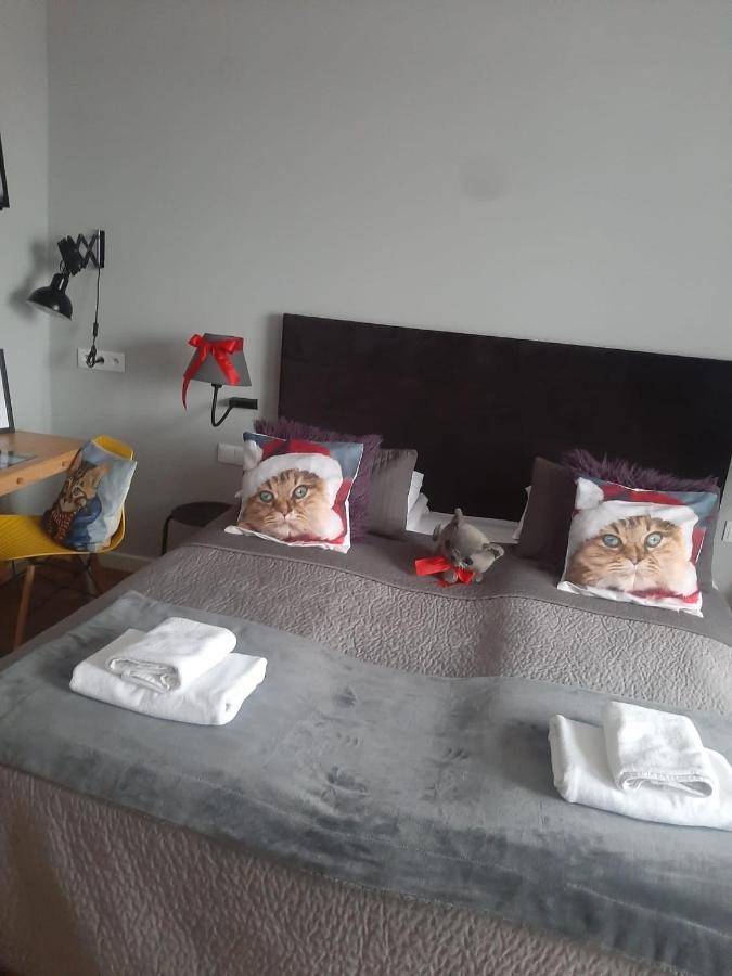 Apartamenty Koci Ogon Stary Toruń Exterior foto